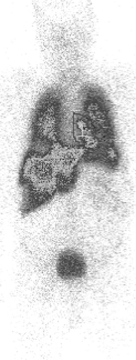 76 Piotr Musiałek et al. Rycina 2.