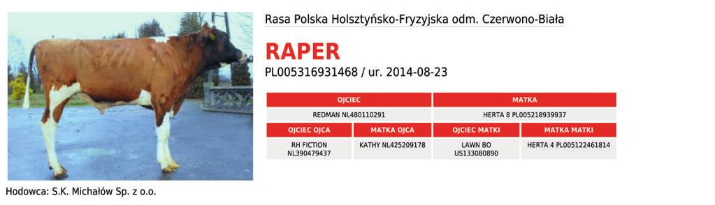 Hdwca: MICHA ÓW WY ENOMOWA 29