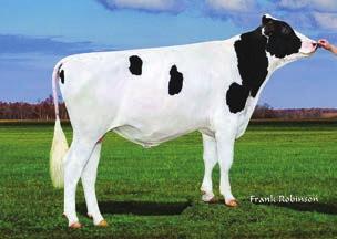 Missle TPI 2744 NM$ 811 DWP$ 916 Przewaga mleka 1755 lbs Przewaga białka 54 lbs. % Przewaga tłuszczu 72 lbs.2 % 79% 78% 2.98 2.35 2.27.38 1.95 Produkcja życiowa 7.2 74 % Komórki somatyczne 2.