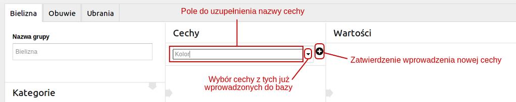 Następnym krokiem jest wprowadzenie nowej nazwy cech (np.