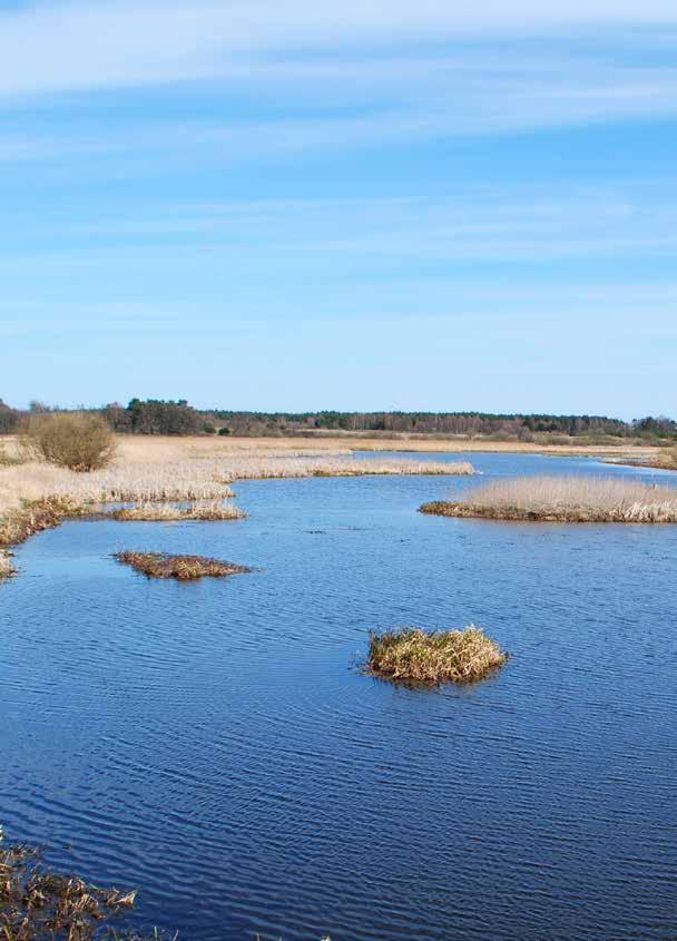 Utrwalenie uzyskanych efektów ekologicznych projektu renaturyzacji i ochrony mokradła Pyszka sfinansowano ze środków Narodowego