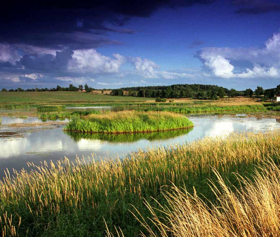 Związek Miast i Gmin Dorzecza Parsęty z siedzibą w Karlinie Utrwalenie uzyskanych efektów ekologicznych projektu renaturyzacji i ochrony mokradła Pyszka sfinansowano