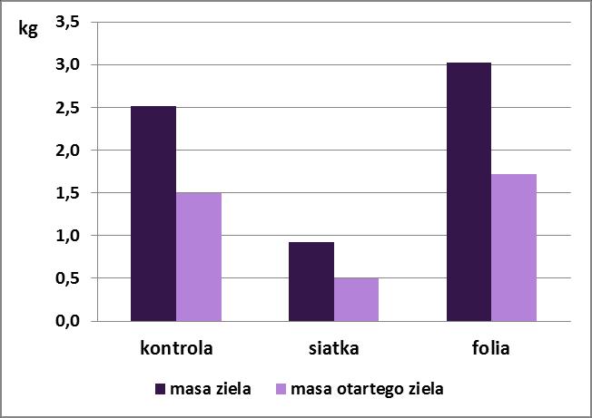 1.1.2. Wpływ metody uprawy na wybrane parametry fizjologiczne roślin i plon ziela Tabela 3. Zawartość chlorofili i flawonoli w żywej roślinie.
