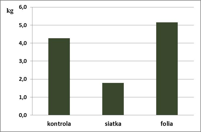 1.2.2. Wpływ metody uprawy na wybrane parametry fizjologiczne roślin i plon ziela Tabela 11. Zawartość chlorofili i flawonoli w żywej roślinie.