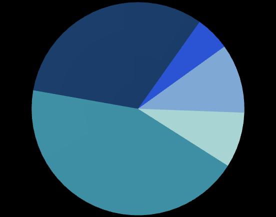 Core business Spółek GK Azoty Tarnów Poliamid (PA6) zintegrowany Nr 1 w Polsce Nr 5 w Europie Poliacetal (POM) Nr 1 w Polsce Nawozy azotowe Nr 1 w