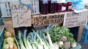 nasz wierny