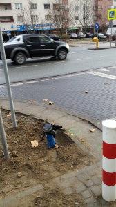 Dzisiejsze spotkania z naszymi