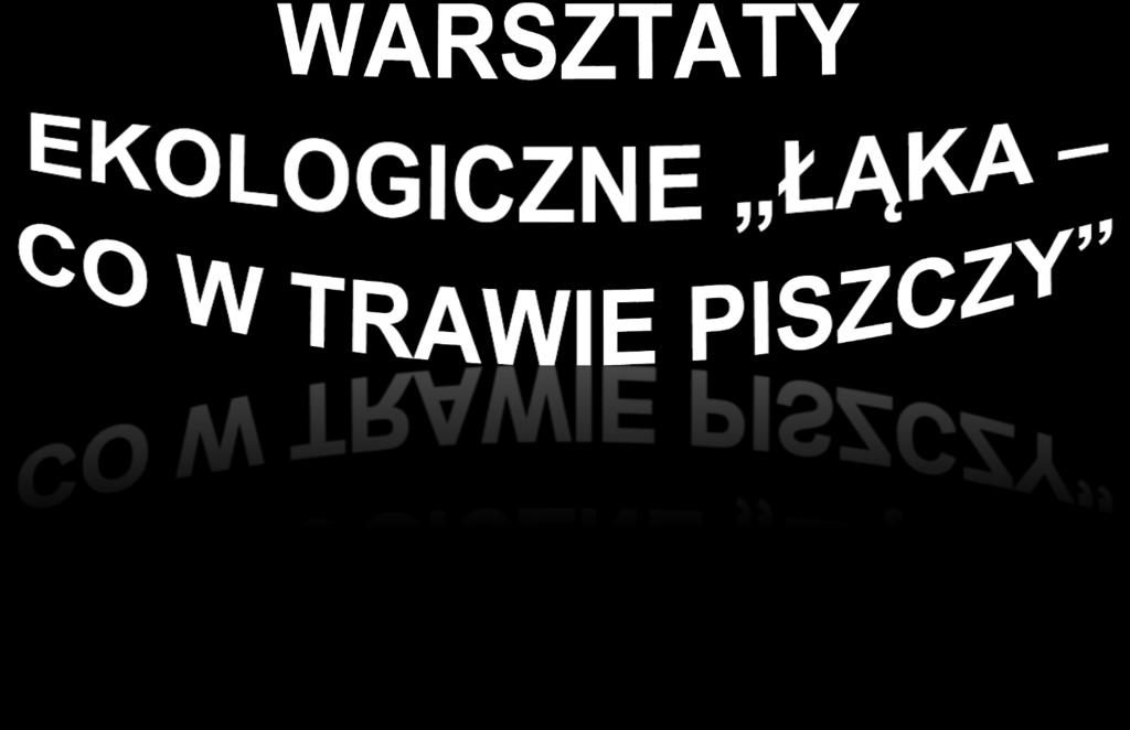 Największym zainteresowaniem uczniów cieszyły się ciekawostki zwierząt, licznie występujących na łąkach. Szczygieł, kret, czy zając to główni bohaterowie łąkowej fauny.