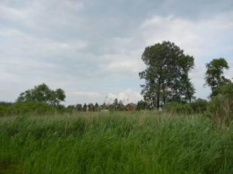 Starorzecze 483 (Mapa 7 - załącznik) Zonitoides nitidus Komentarz: silnie zarośnięty trzcinami zbiornik otoczony polami uprawnymi, przylegający do zabudowań.