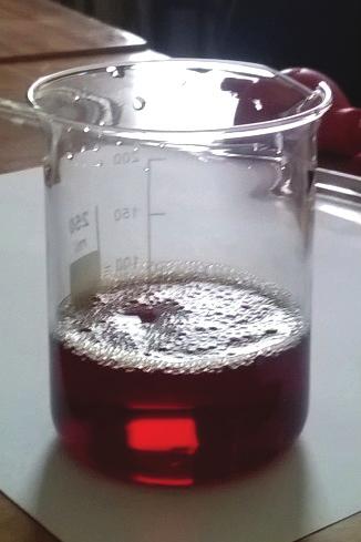 Obserwacje morfologii nanocząstek srebra wykonano za pomocą mikroskopu transmisyjnego JOEL-JEM 1011. 2.7.