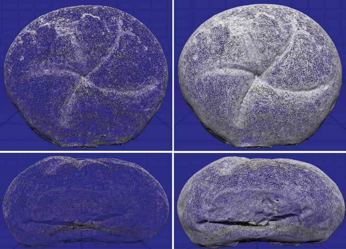 INŻYNIERIA ŻYWNOŚCI 23 Rys. 1. Gotowy model bułki kajzerki po wykonaniu skanowania skanerem 3D: a) chmura punktów, b) siatka trójkątów.