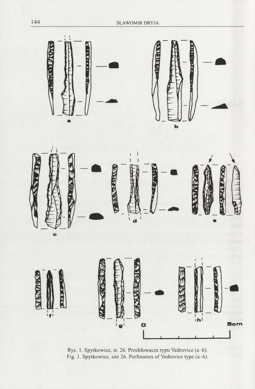 144 Ryc. 1. Spytkowice, st. 26. Przekłuwacze typu Vedrovice (a-h).