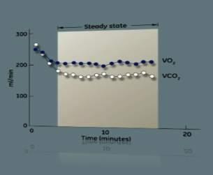 Monitorowanie trendów VO2, VCO2, EE and RQ aby określić steady state Co to jest steady state?