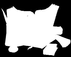 officii ad usum