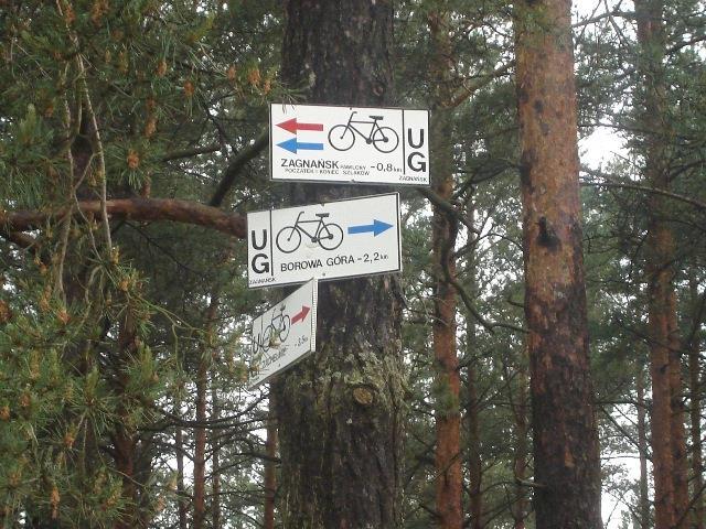 Na terenie gminy biegną dwa szlaki rowerowe: niebieski liczący około 14 km, oraz czerwony o długości około 12 km.