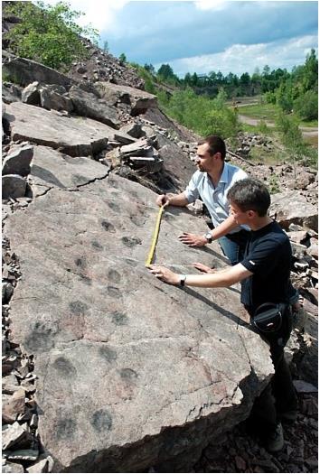 Tropy tetrapoda, źródło: www.tetrapod.net.pl 1.2 Strefa środowiskowa Według podziału fizyczno-geograficznego Polski J.