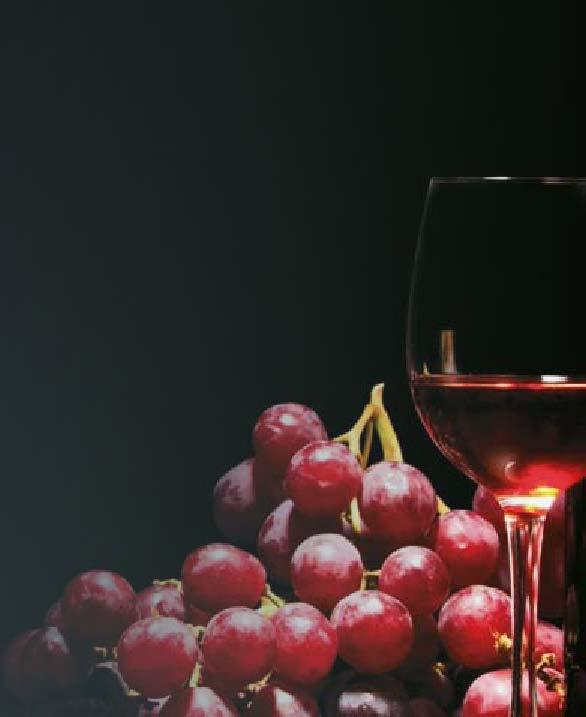 18 butelek (liczonych jako Bordeaux 0,75 l) regulacja temp.