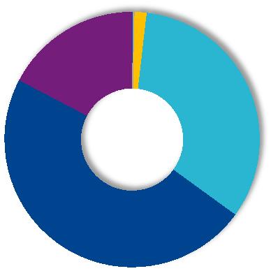 Akcjonariusze wg kraju pochodzenia* Kraje Ogólna liczba akcji Francja 21 972 566 Polska 15 289 270 0,7 1,1 17,3 Francja Polska USA i Kanada 524 427 47,7 USA i Kanada Pozostałe kraje 315 881