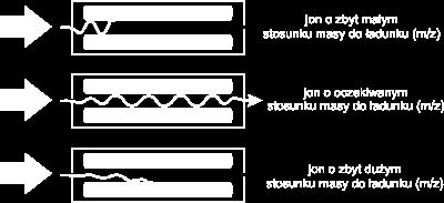 Pomiar masy jest przeprowadzany przez skanowanie - systematyczne zmienianie m/z jonów przepuszczanych przez kwadrupol.