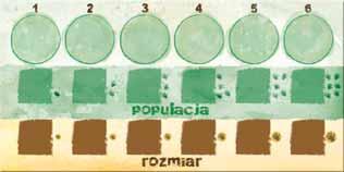 Gracze mogę wykonywać działania z tych kart jednocześnie (albo w kolejności gry według uznania).