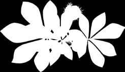 Fiskars sikira