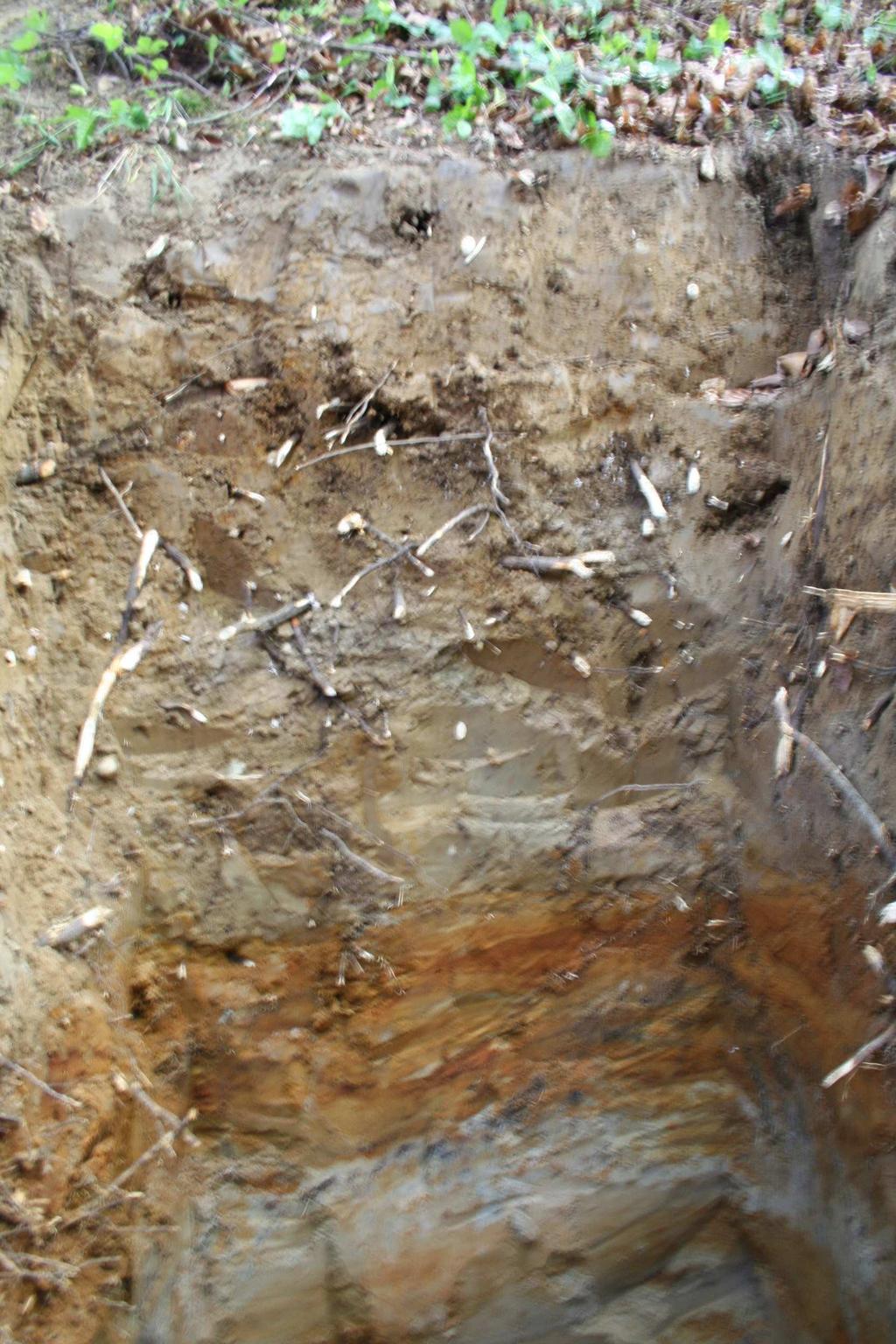 Fot. 3. Warstwy różnoziarnistych piasków w transekcie C (fot. J. Jonczak) Photo 3. Layers of different sand in the transects C (photo by J. Jonczak) 3 wyraźnie różniące się od siebie warstwy piasków.