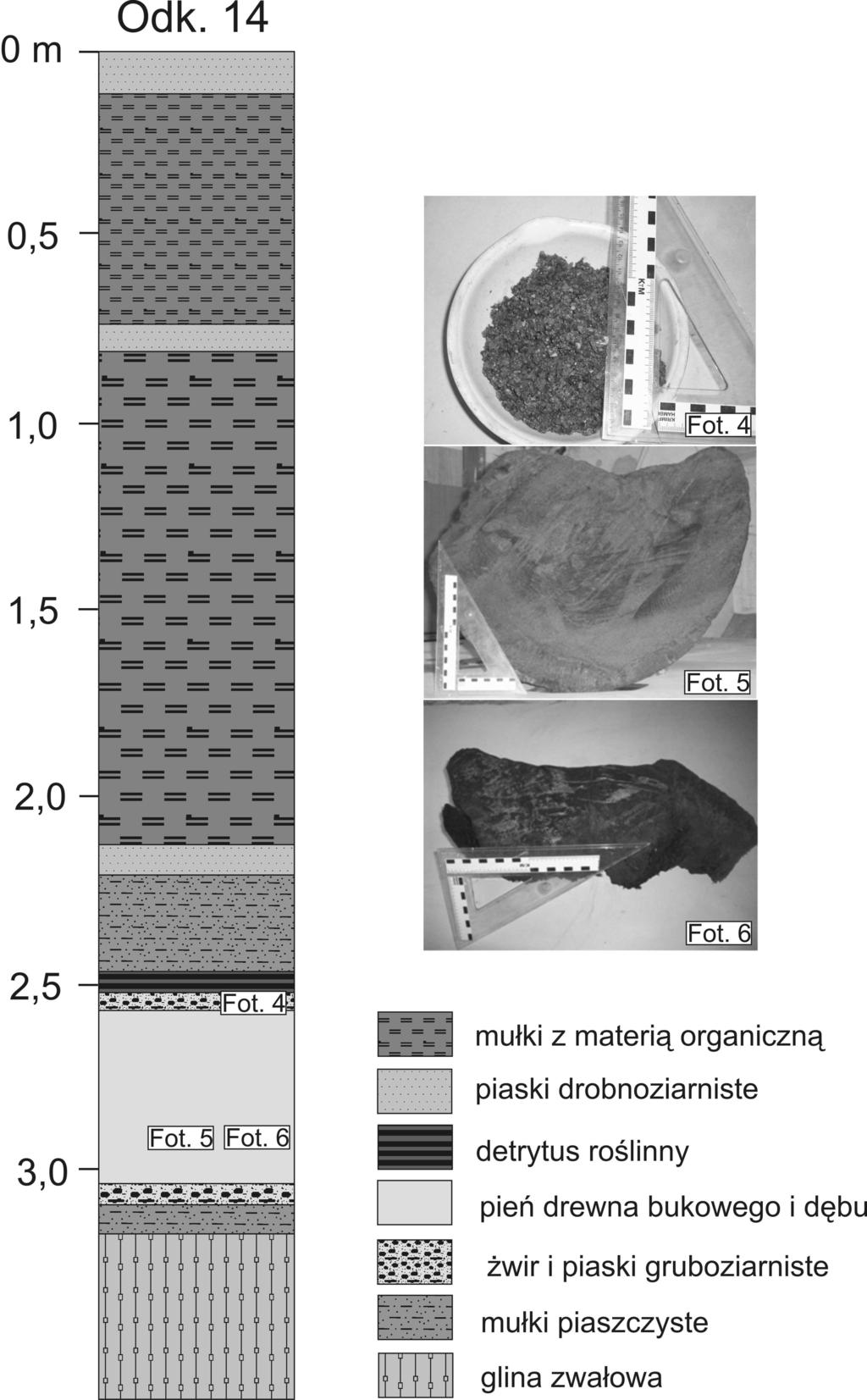 Ryc. 5. Profil geologiczny odwiertu odk. 14. Lokalizacja na ryc. 4. Charakterystyczne elementy (fot. I. Tylman) żwir i piasek gruboziarnisty (fot. 4), pień dębu (fot. 5) i pień buka (fot. 6) Fig. 5. The geological profile of the drilled 14.
