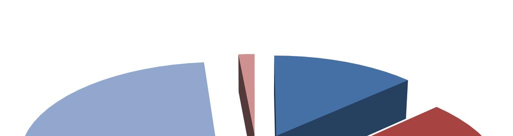 Rok 2013 Działalność Starostwa Powiatowego 1% Edukacja, sport i pożytek publiczny 28% 13% Komunikacja i inwestycje drogowe Geodezja i budownictwo 9% 36% Kultura