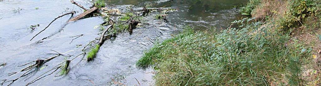 akumulacyjna rzek Stradomka: sekwencja
