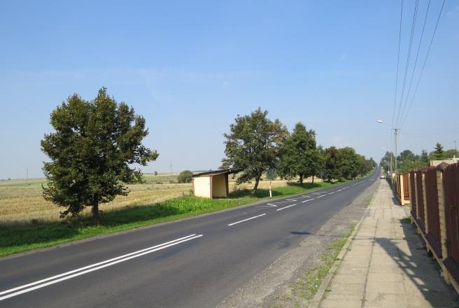 b. Stan zachowania alei/szpaleru Opis stanu % ubytków drzew w alei/szpalerze X zwarta z lukami 21-40% IV. Rekomendowane działania ochronne a.