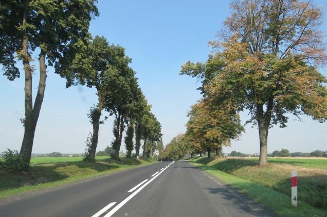 X Zróżnicowany dotyczy bardzo różnego stanu zachowania drzew od dobrego do złego - w jednym przebiegu drogi. Uwagi (np.