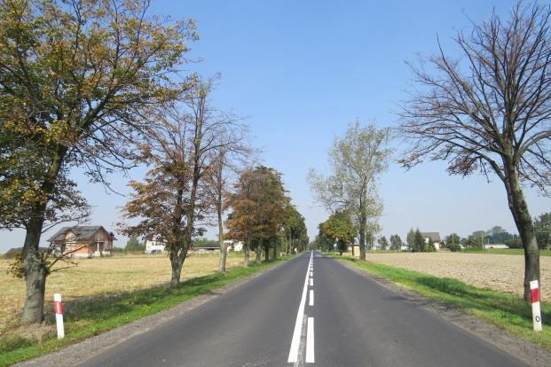Fot. 3. Widoczne zamierające lipy i luki miejsca uzupełnień. Fot. 4. Nieudane nasadzenia klonów.