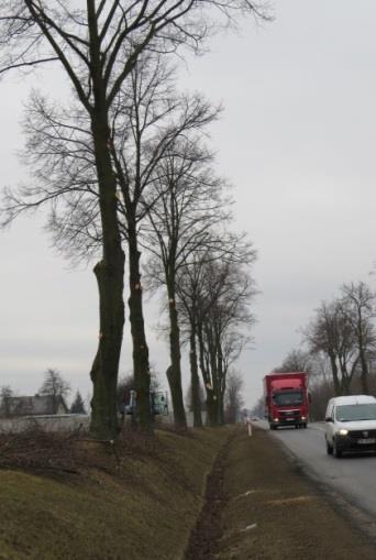 Nawierzchnia (zaznacz): asfalt / bruk / gruntowa / inne (np.