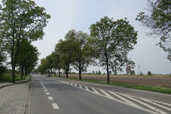Uwagi (np. ślady po cięciach w koronach, drzewa grożące zawaleniem się): brak b. Stan zachowania alei/szpaleru Opis stanu % ubytków drzew w alei/szpalerze X zwarta z lukami 21-40% IV.
