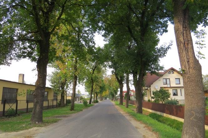 Inne potrzebne zabiegi: uzupełnienia.