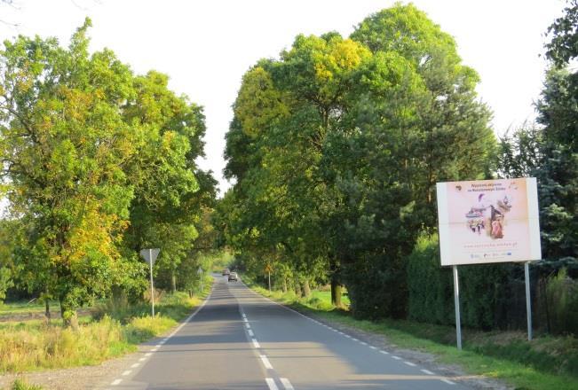 c. Istniejące pomniki przyrody oraz propozycje objęcia ochroną pomnikową (wymienić i zidentyfikować