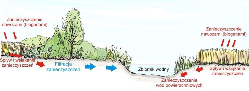 ciężkich od 40% do 70%.