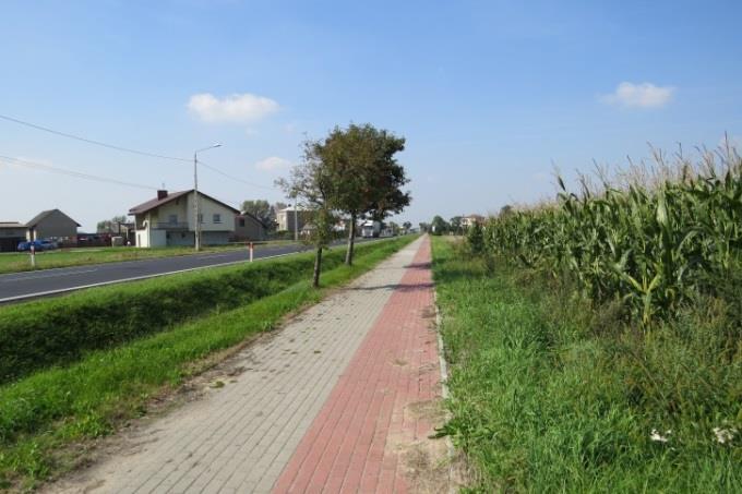 CZĘŚĆ IV PRZEGLĄD POTENCJALNYCH MIEJSC DO NASADZEŃ NOWYCH ALEJ I SZPALERÓW W GMINIE WIELUŃ 1 Lokalizacja: droga od Wielunia przez miejscowość Dąbrowa w kierunku Białej; początek nasadzeń od
