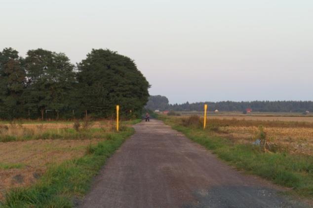 13 Lokalizacja: droga polna na wschód od wsi Turów do Wielunia ul Kijak, Opis: droga gruntowa, szerokość pasa drogowego 3,5 m, a poboczy strona prawa i lew około 1,5 m, otoczenia to pala i nieużytki,