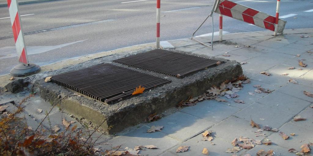 Fot: Tomasz Olechowski,.