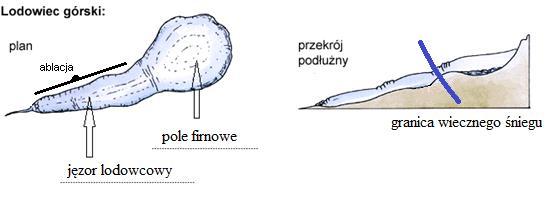 schorzenia skóry oraz zatrucia; 5.