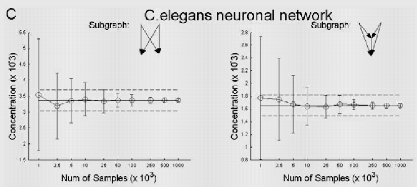 Network sampling wyniki NETWORK MOTIFS Dla