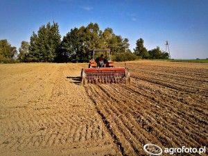 .pl https://www..pl Źródło: AgroFoto.pl, Mati2812820 Polska charakteryzowała się i w dalszym ciągu jeszcze charakteryzuje się dużym rozdrobnieniem gospodarstw.