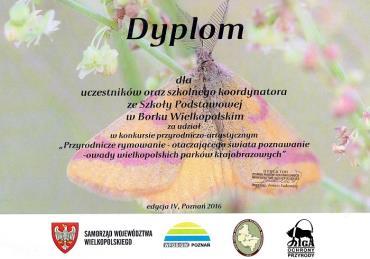 IIz Wyróżnienie Jaśmina Paradysz /kl. IIIc Wyróżnienie Jan Nowak/kl. IIc Wyróżnienie Zofia Mazur/ kl. IIc Kategoria kl.