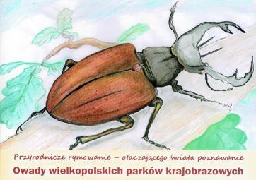 Nagrody zostały wręczone w czasie Orszaku Trzech Króli.