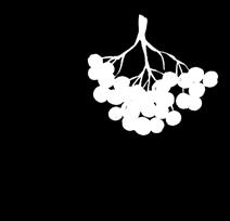 otwarcia: pn. - pt.