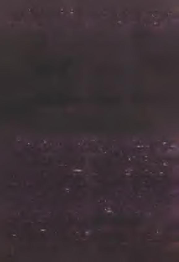 wirusowego ORF jest poliproteina (Ryc. 1) o długości ponad 3 tys. aminokwasów [11].