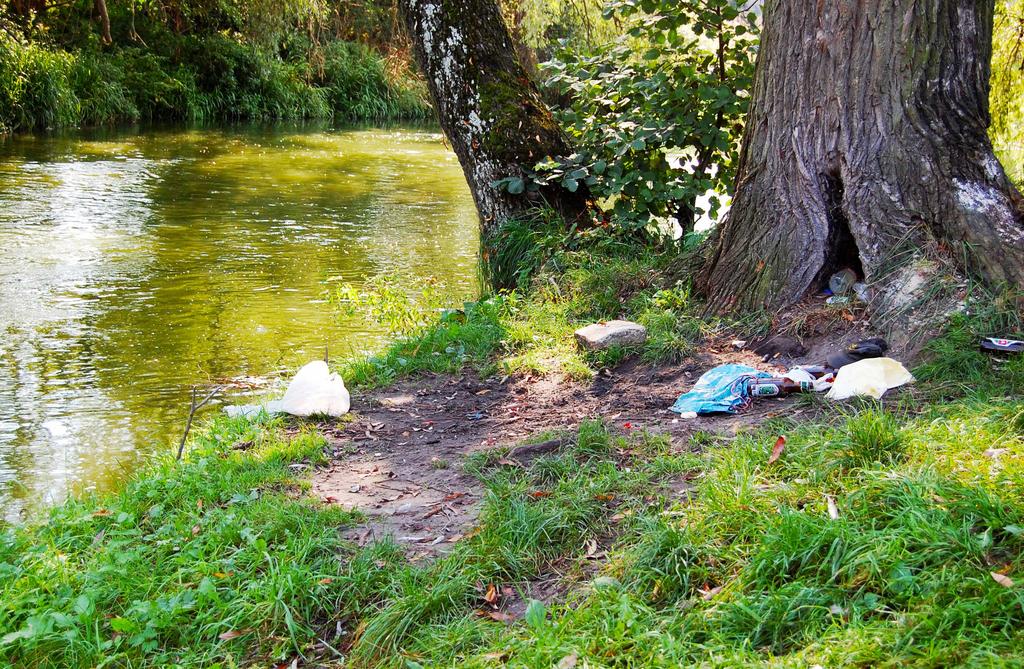 Uczniowie wyjaśniają Praca pojęcia dzikie wysyzbiorowa piska śmieci; podają przyczyny powstawania takich miejsc, wskazują sposoby zapobiegania niewłaściwym zachowaniom ludzi.