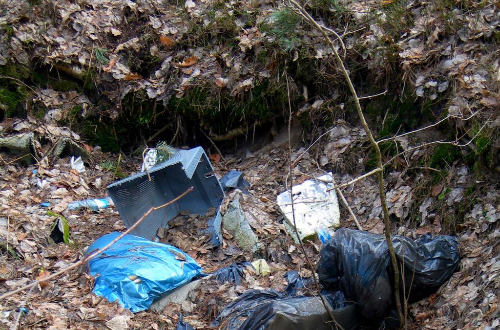 Obserwując zdjęcia uczniowie nadają im tytuły np. nad rzeczką opodal krzaczka odpoczywał brudasek. Sformułuj ostrzeżenie skierowane do ludzi, którzy wyrzucają odpady w miejscach niewłaściwych.
