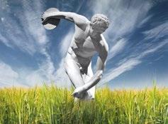 KATALOG ZBOŻA / WIOSNA 2017 OLYMPIC JĘCZMIEŃ JARY Klasa ogólnoużytkowa Hodowla: RAGT Rejestracja: Polska, 2013 r.